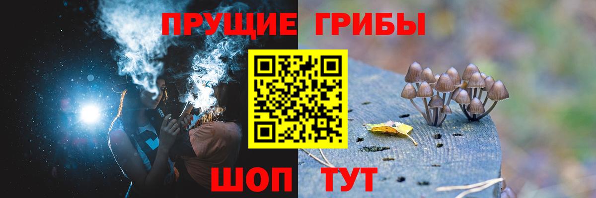Аша  Псилоцибиновые грибы Psilocybine cubensis  Вход с VPN 